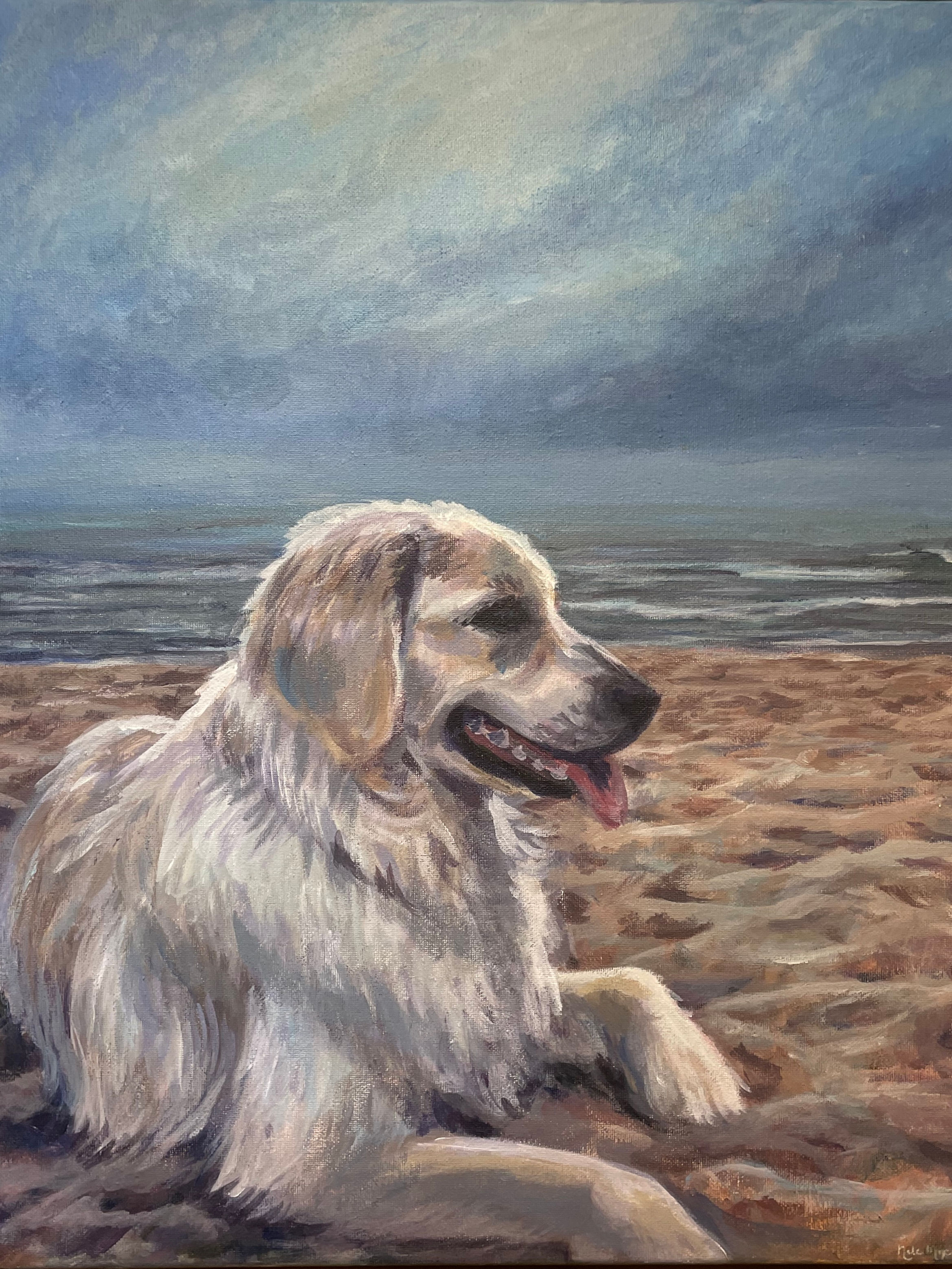 Salty Dog & the Storm at Sea