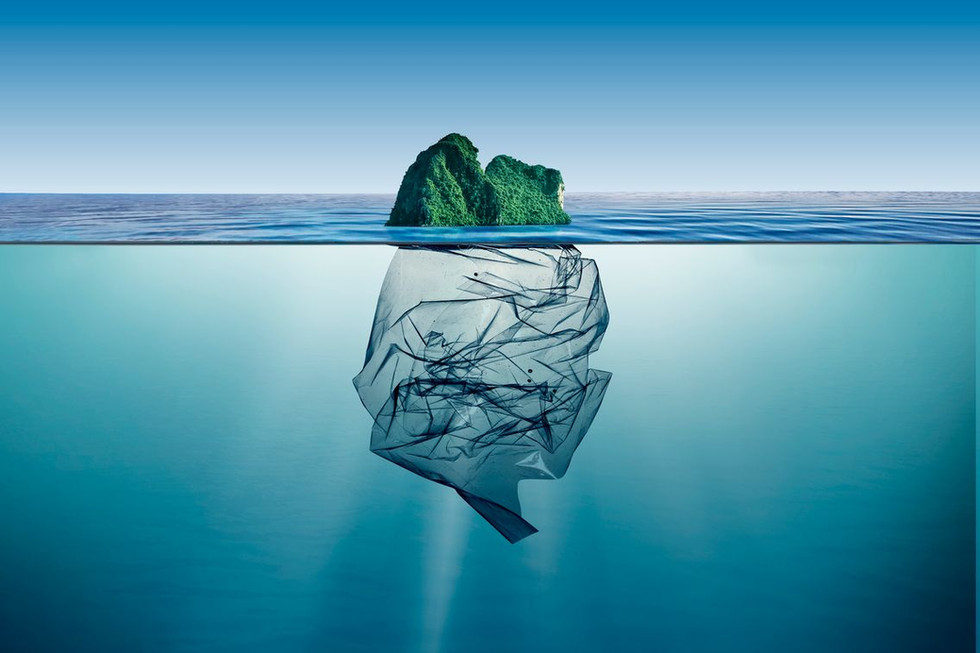 Sustainability image.jpeg