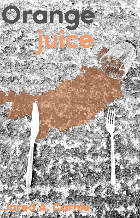 book cover artwork by Yorkshire design studio