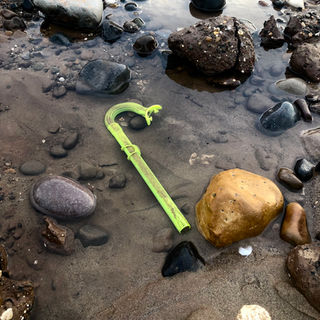 lost snorkel image for album promotion