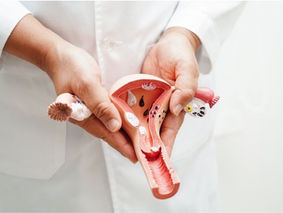 A woman holding a model of a uterus