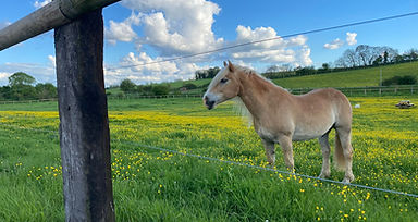 WhatsApp Image 2025-08-26 at 19.09.05 (1).jpeg