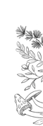 Untitled_Artwork (62).png