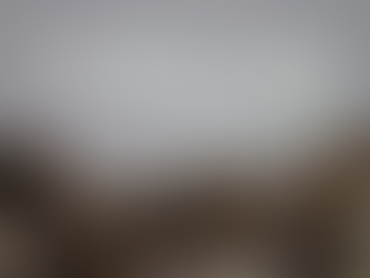 Coastal Marine Strategy for BC