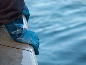 Marine Protected Areas and Fisheries Governance