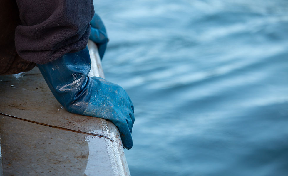 Marine Protected Areas and Fisheries Governance