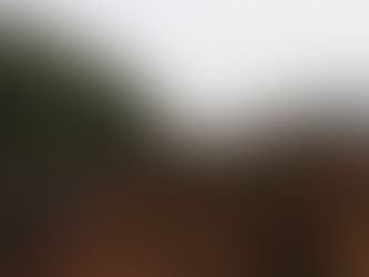 CN Skeena Corridor Spray