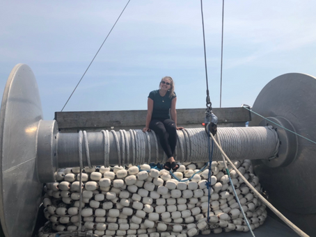 Gillnets and green smoothies