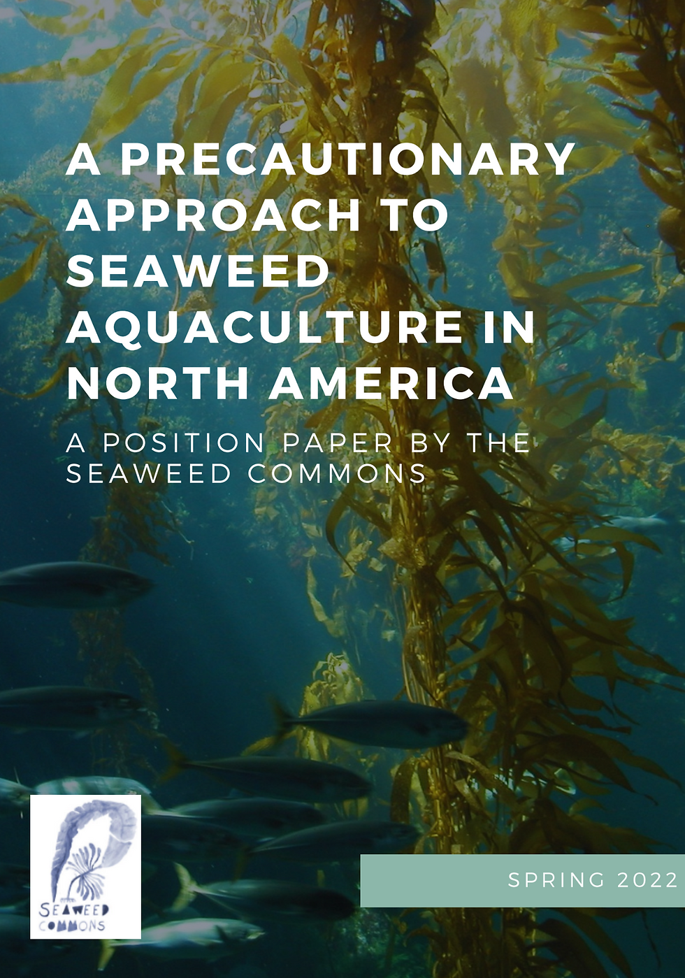 A Precautionary Approach to Seaweed Aquaculture in North America