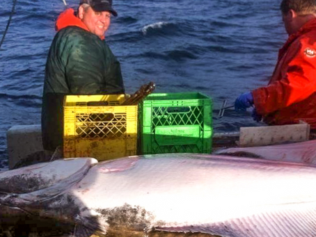 The lifestyle is the best part of being a fisherman - Q&A with Peter DeGreef