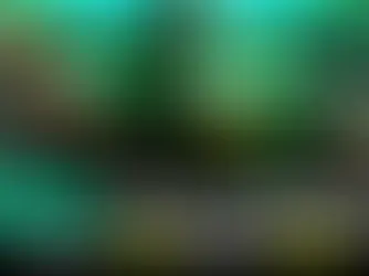 Where Can I Play Live Casino Games Online in Bangladesh? Jita365 Sets the 2026 Standard