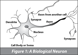 Sinapse Neural Networking Tool Crack   Free [32|64bit] (Latest)