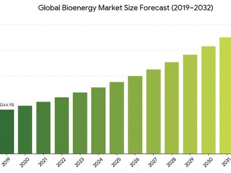 Bioenergy Market Size, Renewable Energy Demand and Global Growth Forecast 2026–2034