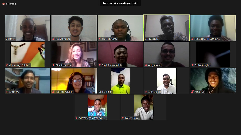 Screenshot of Zoom call with 17 videos showing of males and females with a diversity of skin tones.