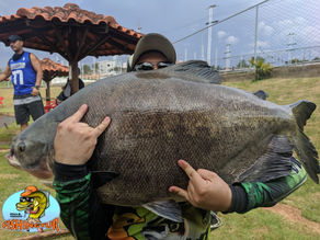 Pesgue Pague Esmeralda - A jóia dentro da capital goiana