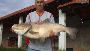 Pesqueiro Pantanosso – Massas Paturi fazendo milagres no Pantanosso