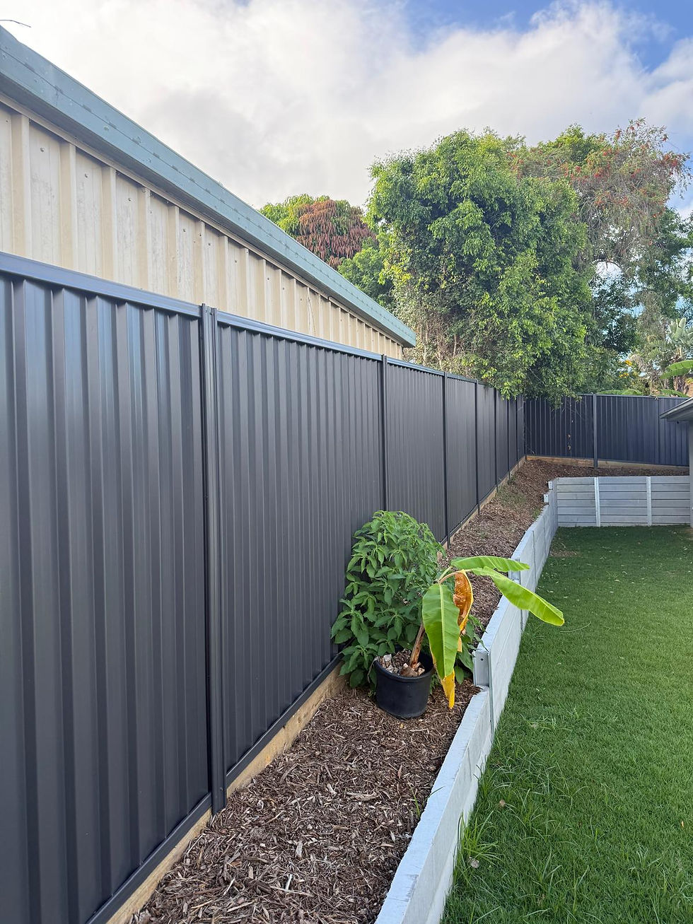 Colorbond-Fence.jpg