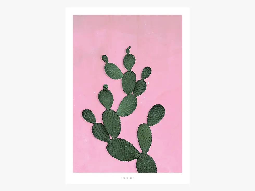 Poster kaktus No.3 von Typealive