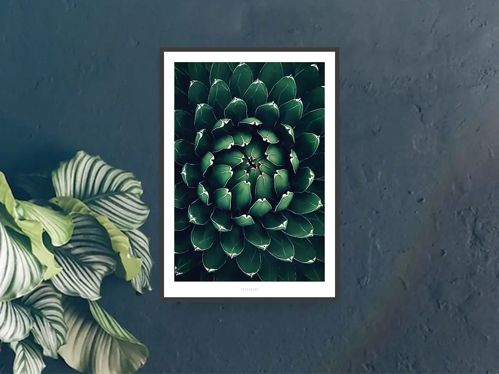 Miniaturbild: Poster jungleow No.12 von Typealive