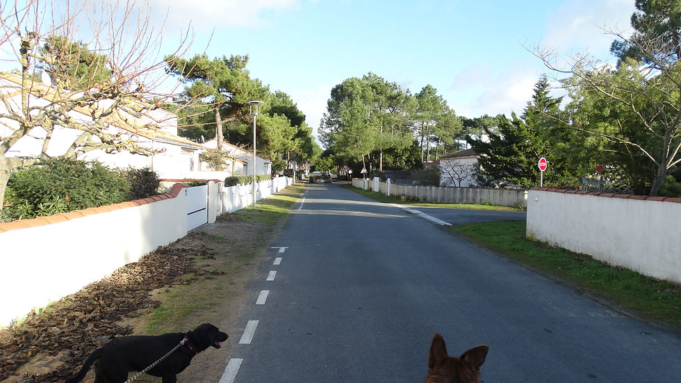 Le quartier du phare