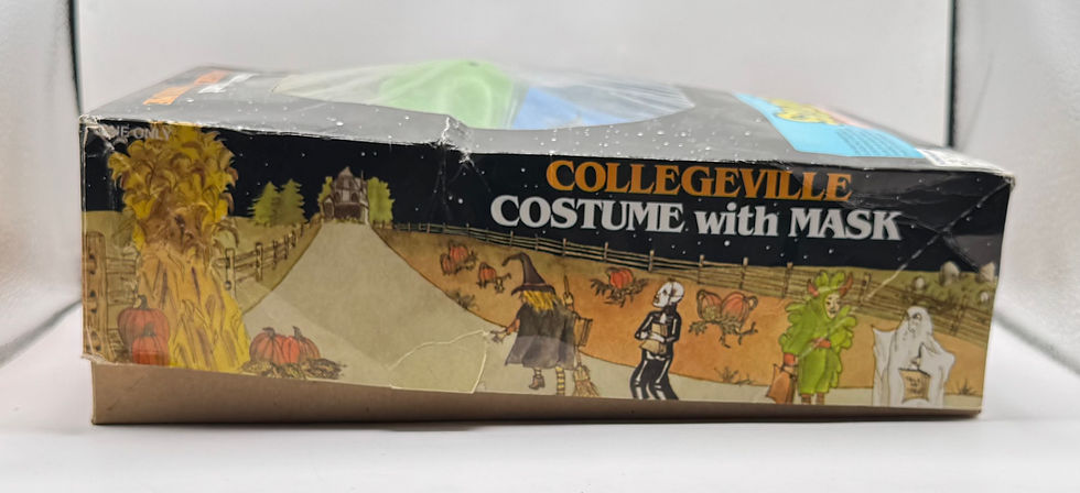 Thumbnail: Collegeville TMNT Leonardo Halloween Kids Costume 