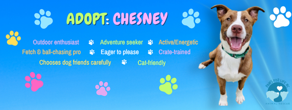 ADOPT CHESNEY (7).png