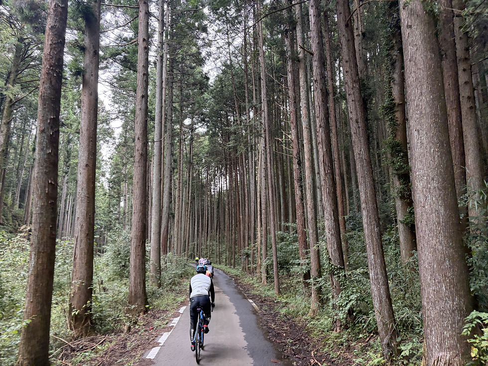 ライド風景