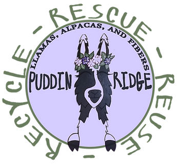 puddinridgefiberslogopng.png