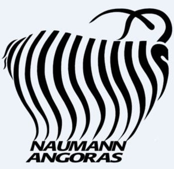 NAUMANNlogo75097186_10157117845159215_414058632863285248_n.jpg