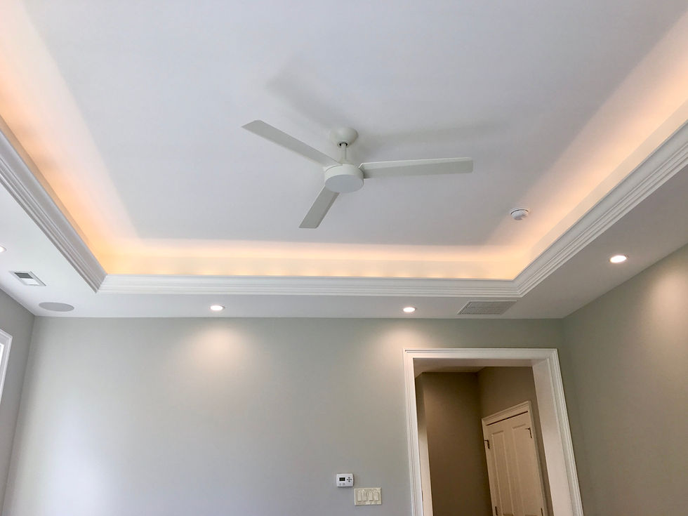 Master Bedroom Tray Ceiling