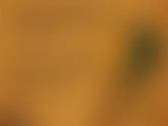 DW Melody Clinic - Learn the sacred melodies of the Ear-Whispered Lineage