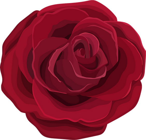 Red Rose.png