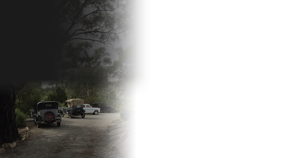 Annual Run 2021_Stretch_Block.png