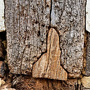 A repaired oak post with oakum and lime mortar