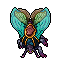 Lacewing_Moth_(Mount).gif