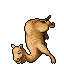Dromedary.gif