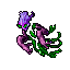 Countess_Sorrow.gif