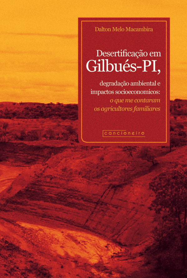Desertificação em Gilbués – PI, degradação ambiental e impactos socioeconômicos