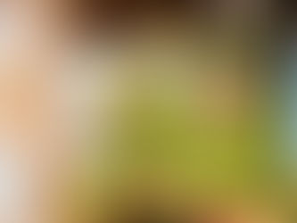 Die ersten Schulwochen bei den Pinguinen