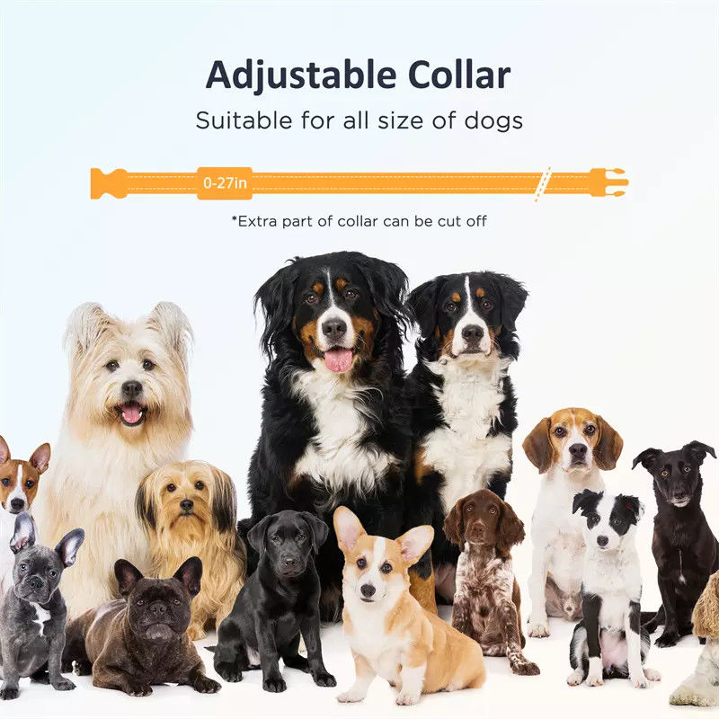 Thumbnail: Patpet  Premium Sublimation Dog Collar Rechargeable Heavy Duty Dog Collar