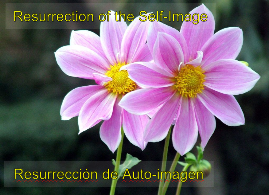 Self-Image Logo with Flower BG.png