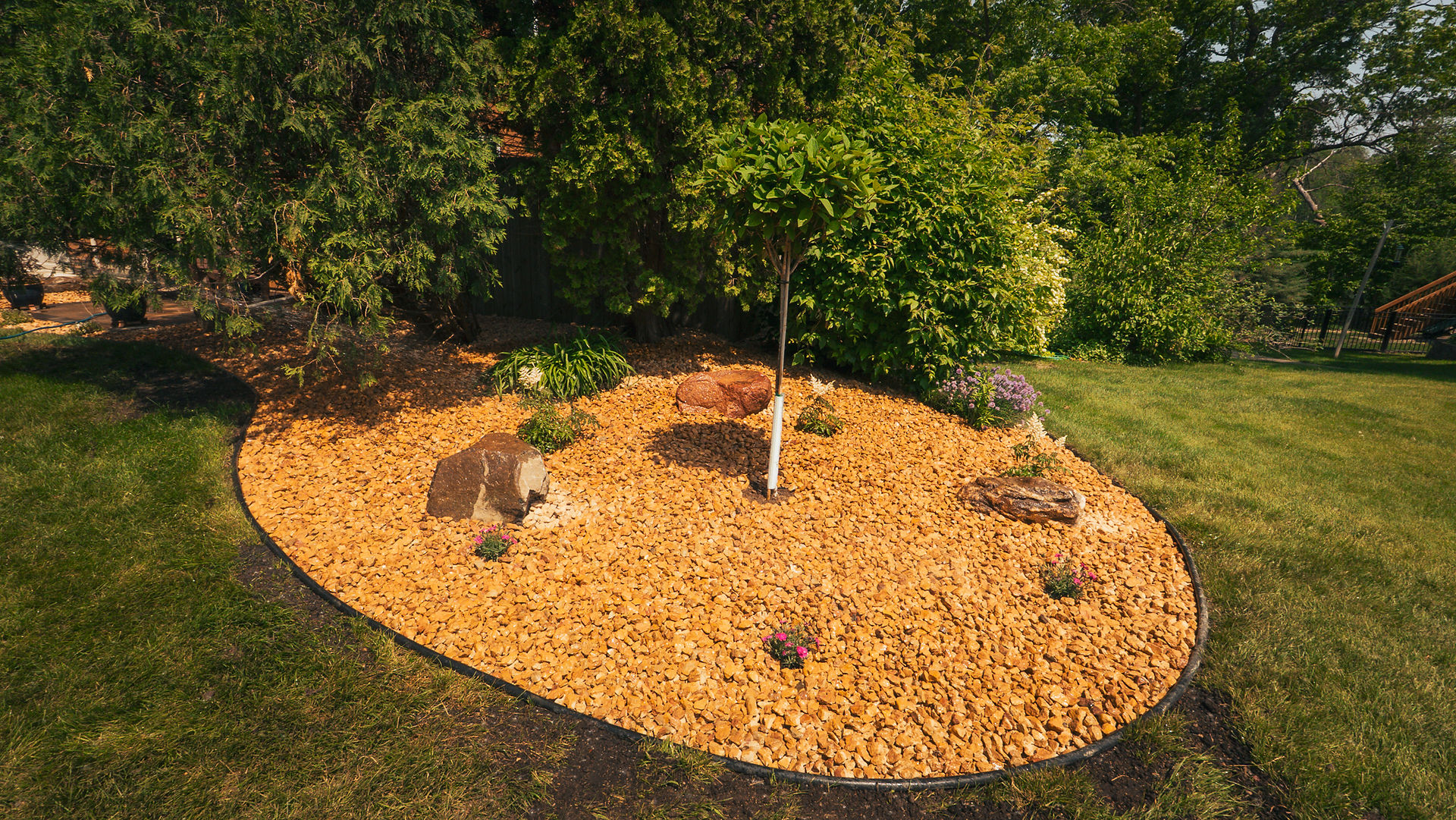 Landscape bed with golden rock mulch, black edging, small ornamental tree, and boulders in a Twin Cities yard.