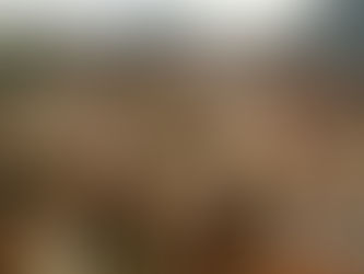 Прогулка по 10 самым интересным местам Пловдива