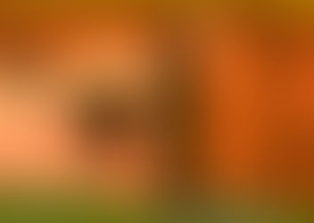 A VITÓRIA DO CAMARADA ALDO SANTOS!!