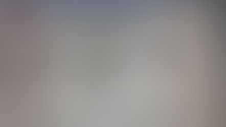 Sociedade Amigos do Parque Ideal.