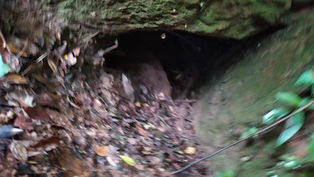 Antiga Senzala em São Bernardo do Campo?