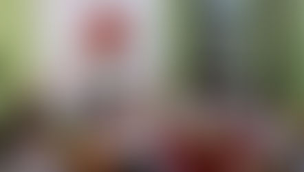 POR QUE OS MILITARES VOLTARAM AO GOVERNO?