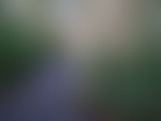 Pourquoi le cadre est essentiel en psychothérapie