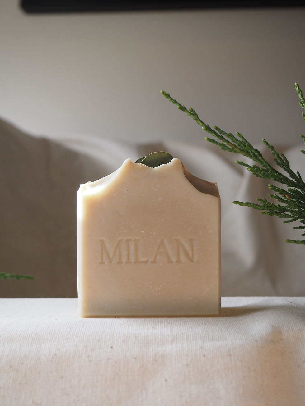 Thumbnail: LOVELY WINTER