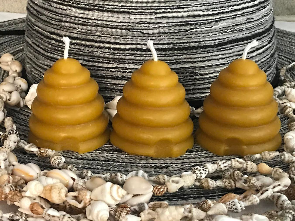 Thumbnail: beeswax honey bee hive candles
